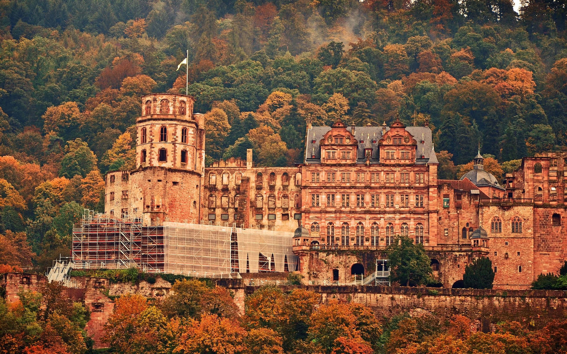 Heidelberg Castle In Orange