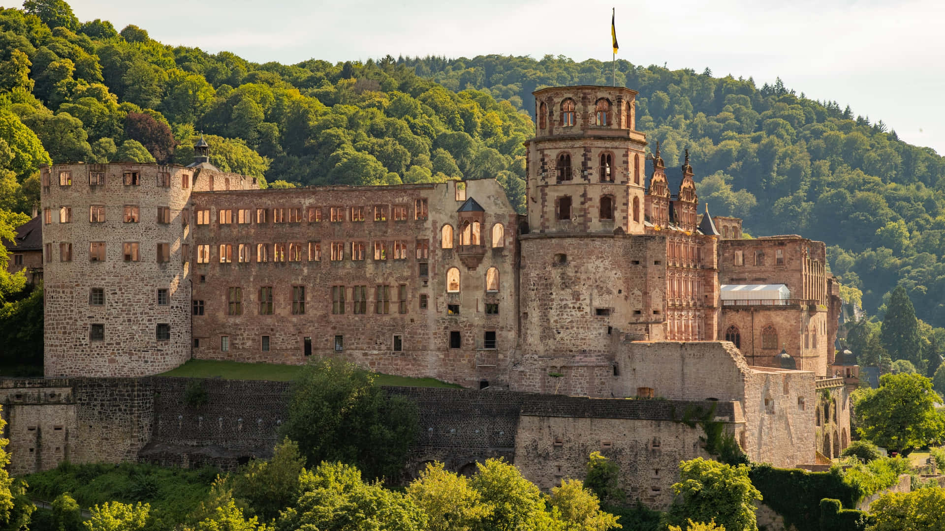Heidelberg Castle In The Morning Background