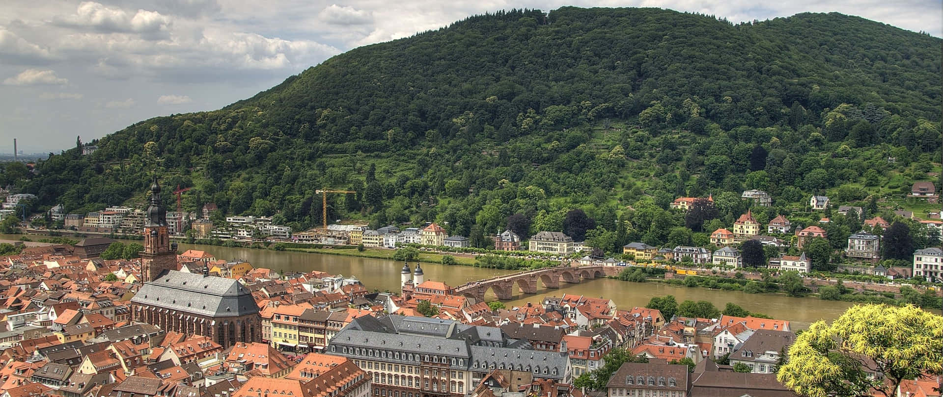 Heidelberg Castle Mountain Background