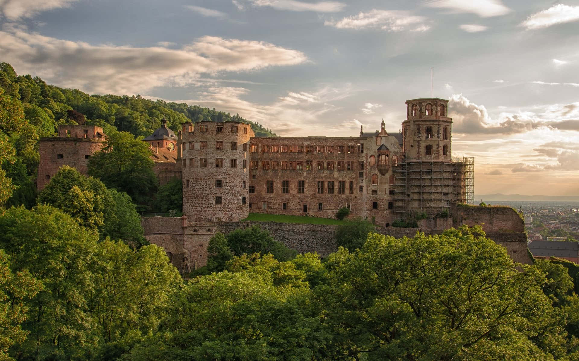 Heidelberg Castle Nature Scenery