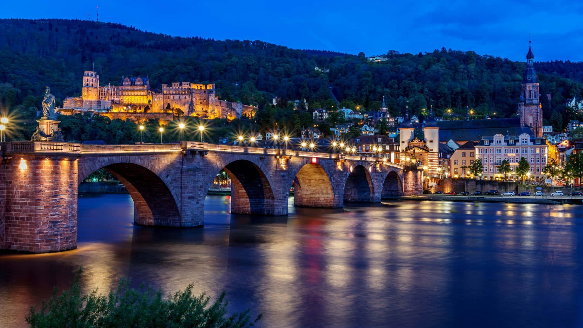 Heidelberg Castle Night Life