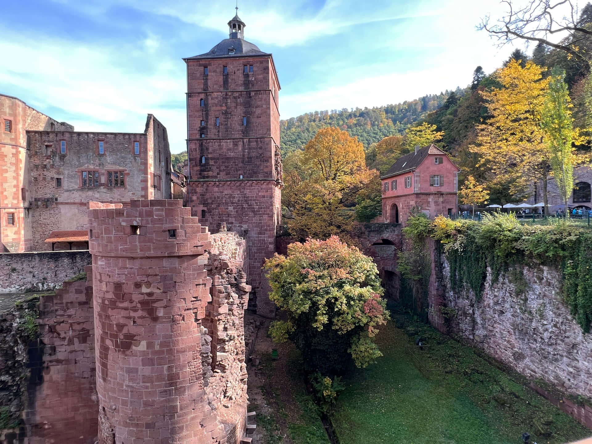 Heidelberg Castle Tower Ruins Background