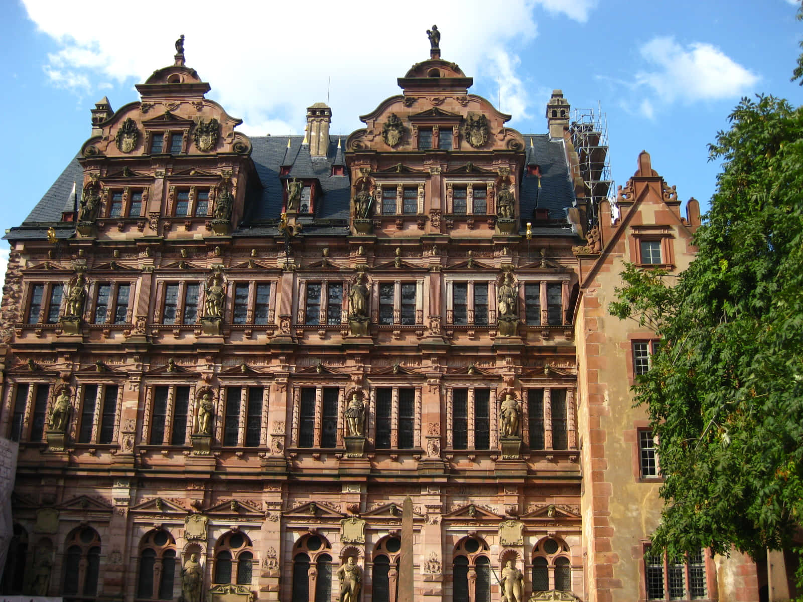 Heidelberg Castle Windows Background