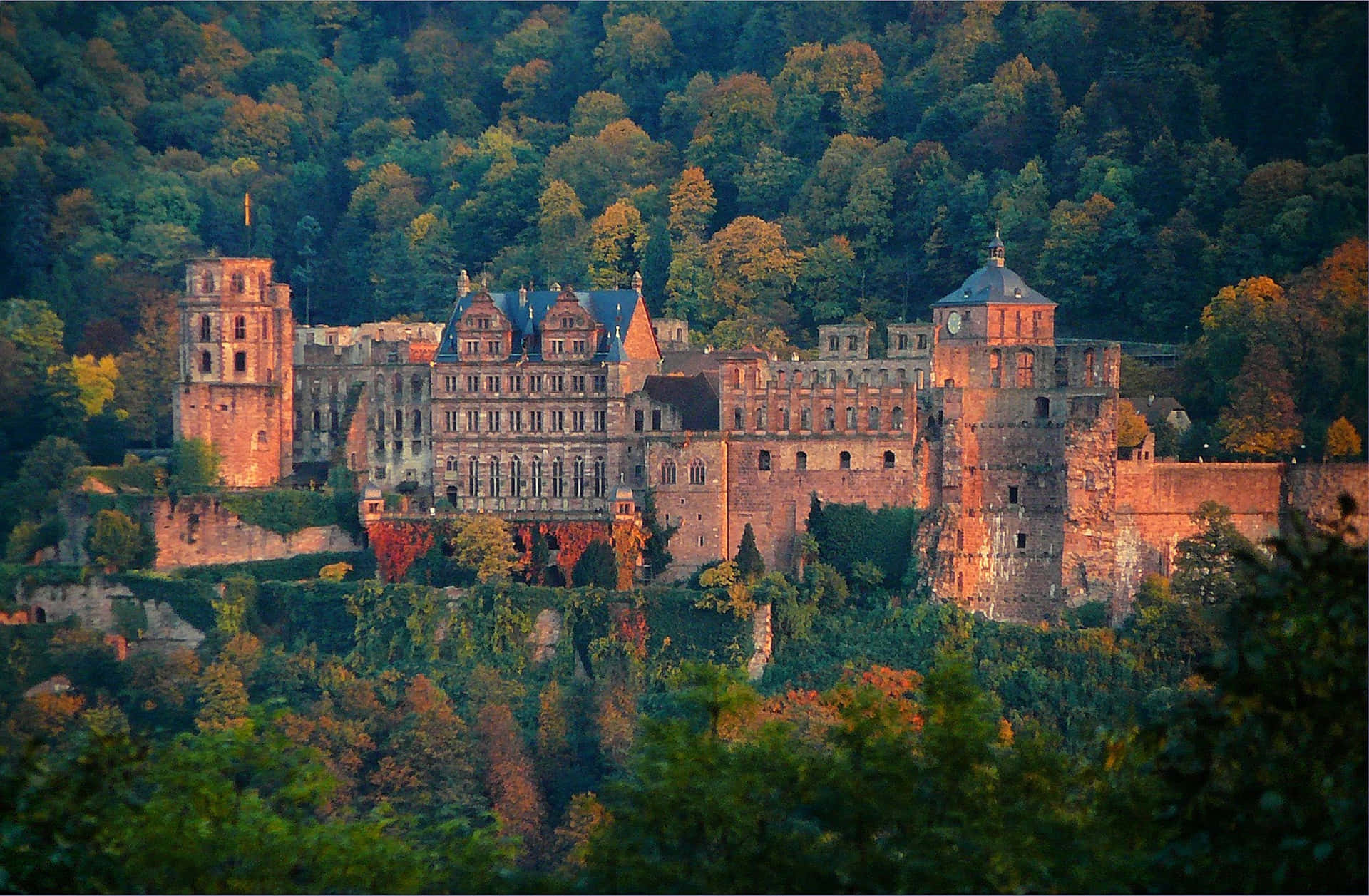 Heidelberg Castle With Autumn Trees Background