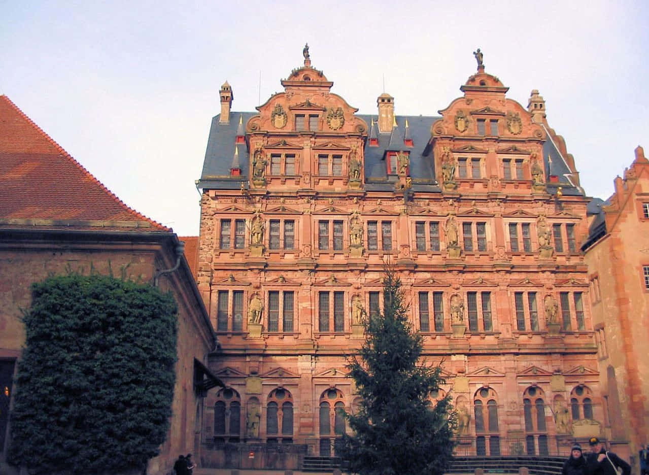 Heidelberg Castle Worm's Eye View Background
