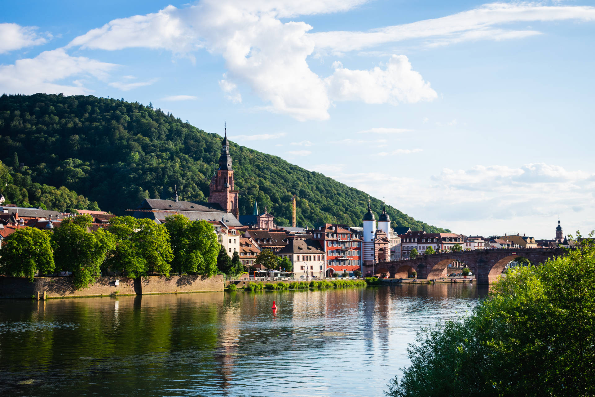 Heidelberg Town Germany Background
