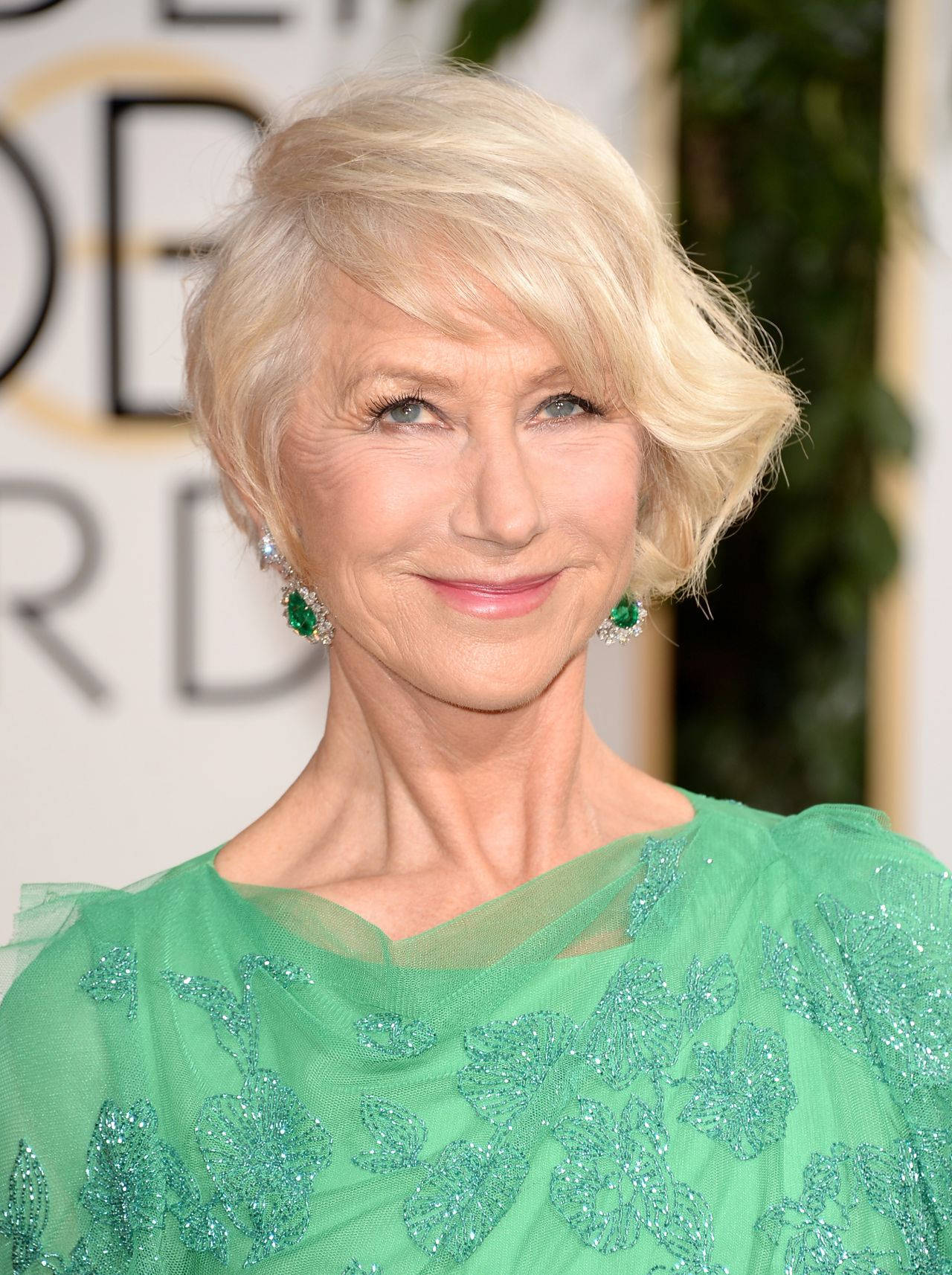 Helen Mirren Attends Golden Globes 2014 Background