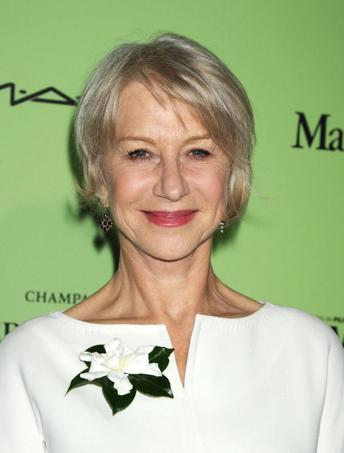 Helen Mirren Celebrity With Gray Hair Background