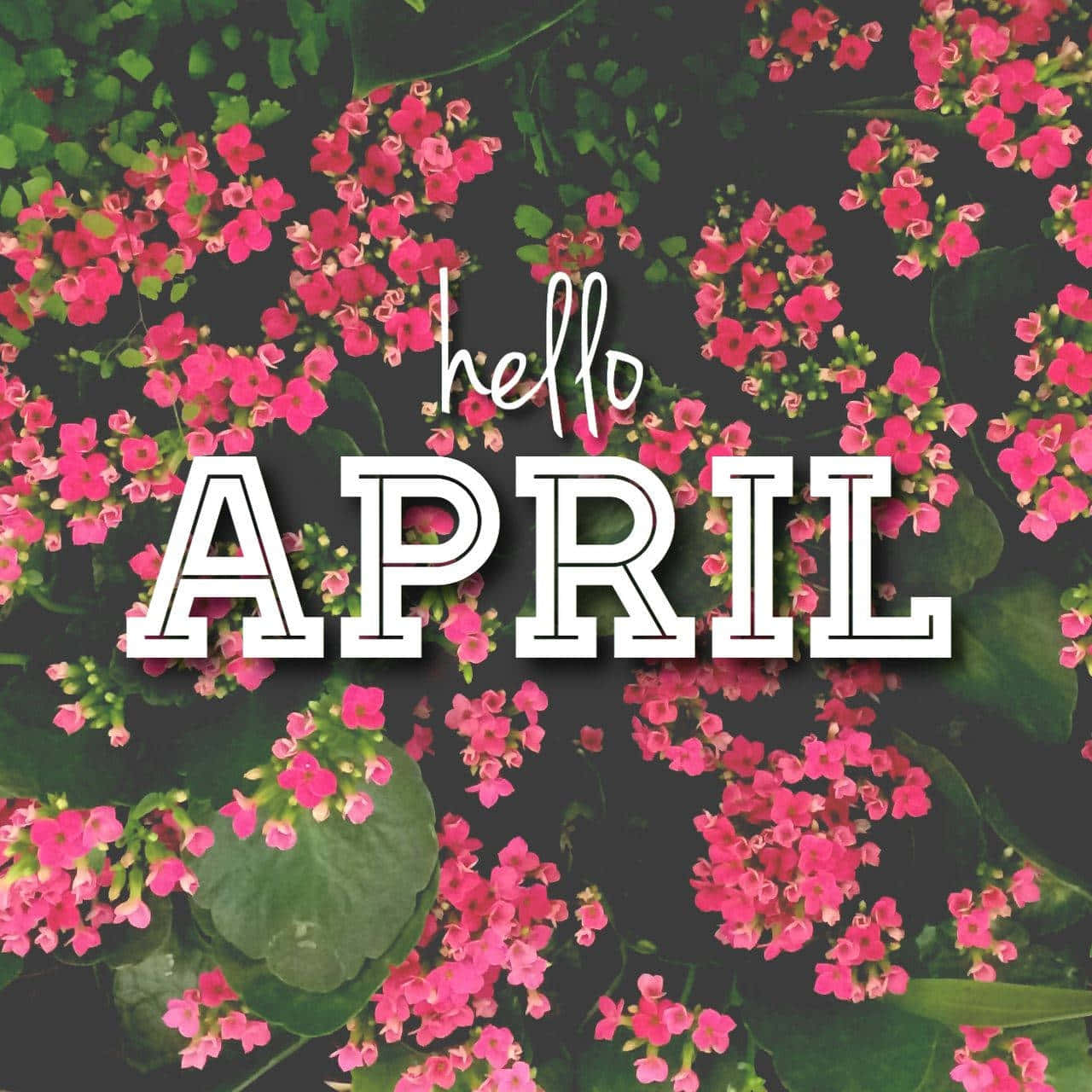 Hello April Floral Greeting Background