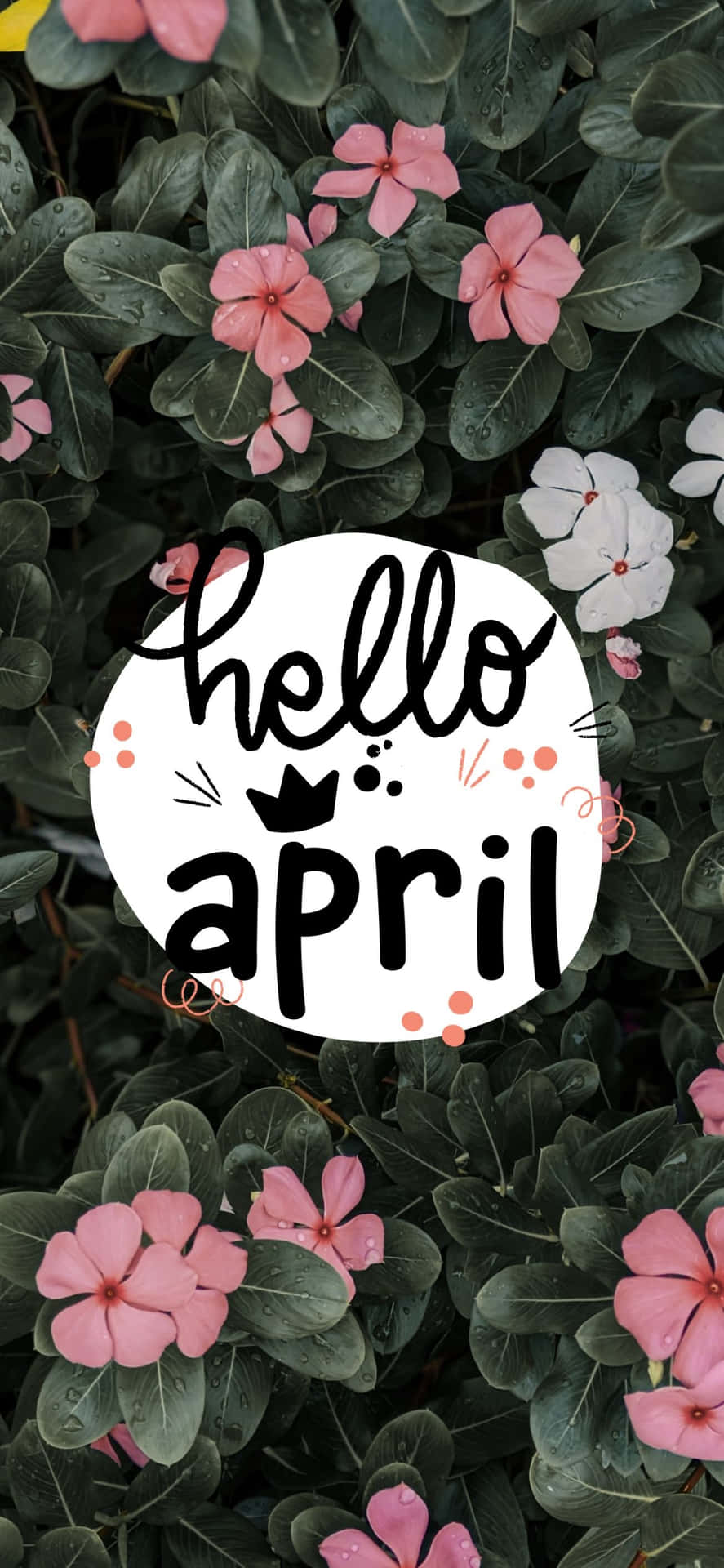 Hello April Floral Greeting Background