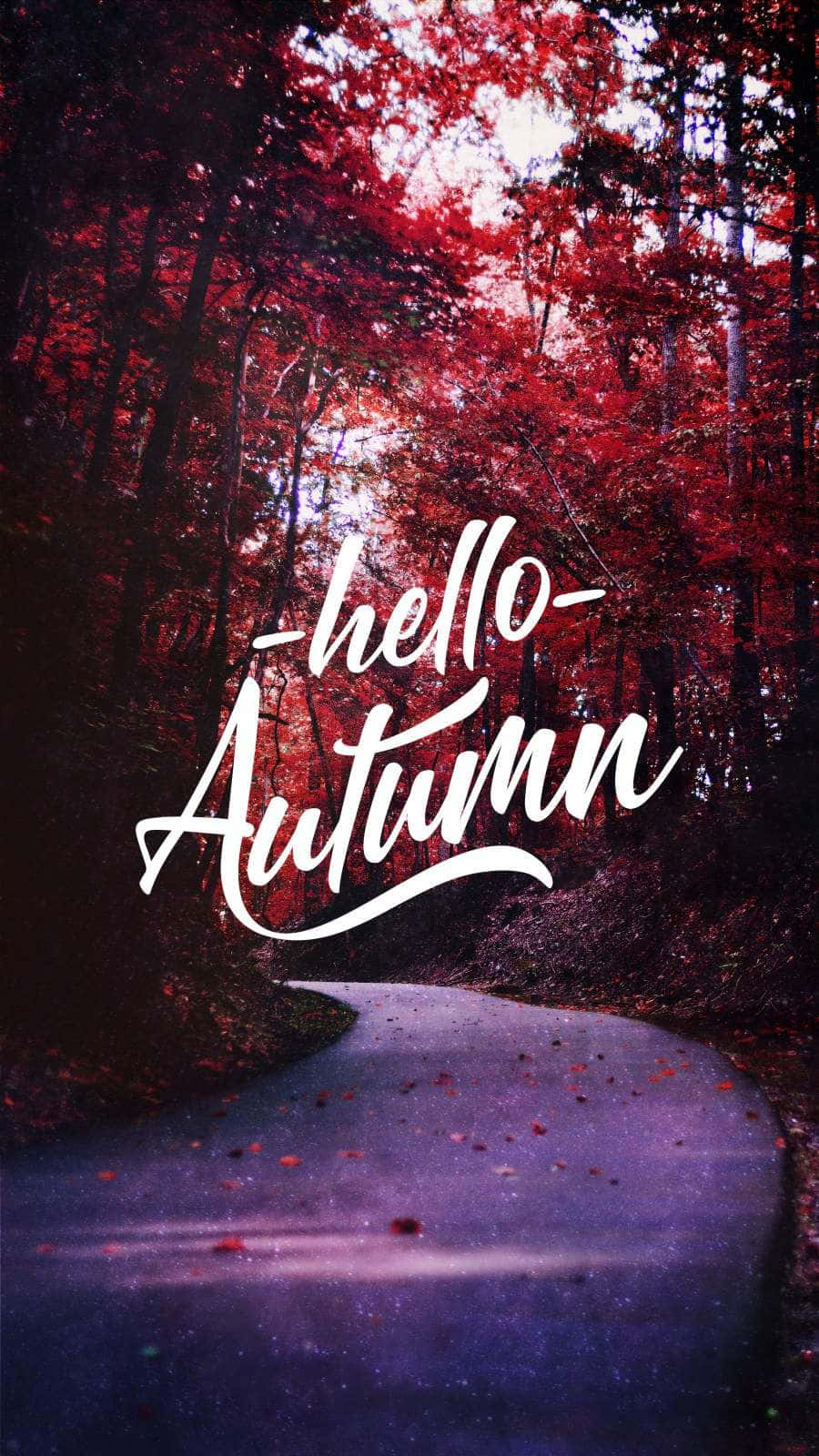 Hello Fall! Greet Autumn With This Beautiful Outdoor Scene Background