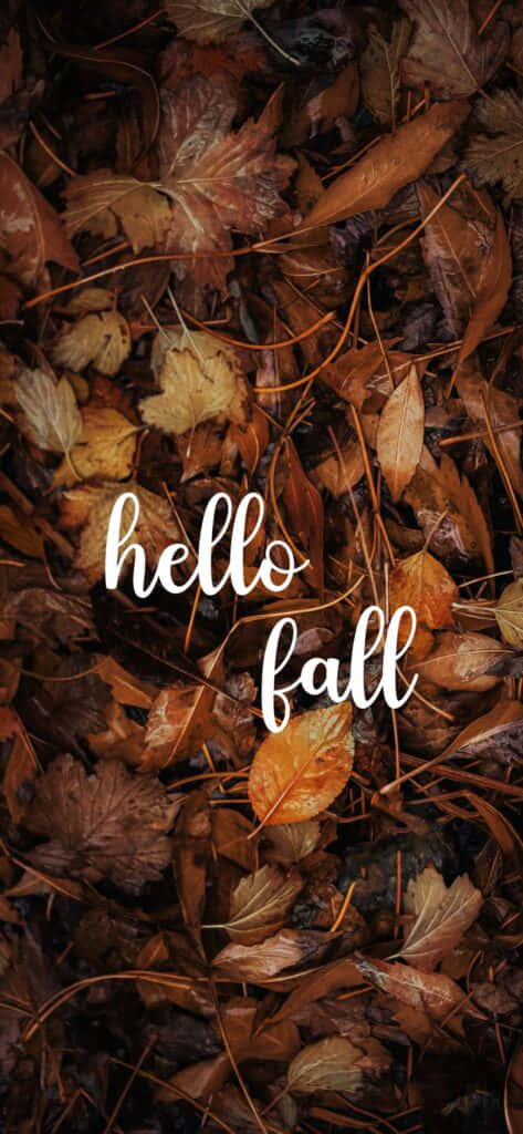 Hello Fall Leaves Background Background