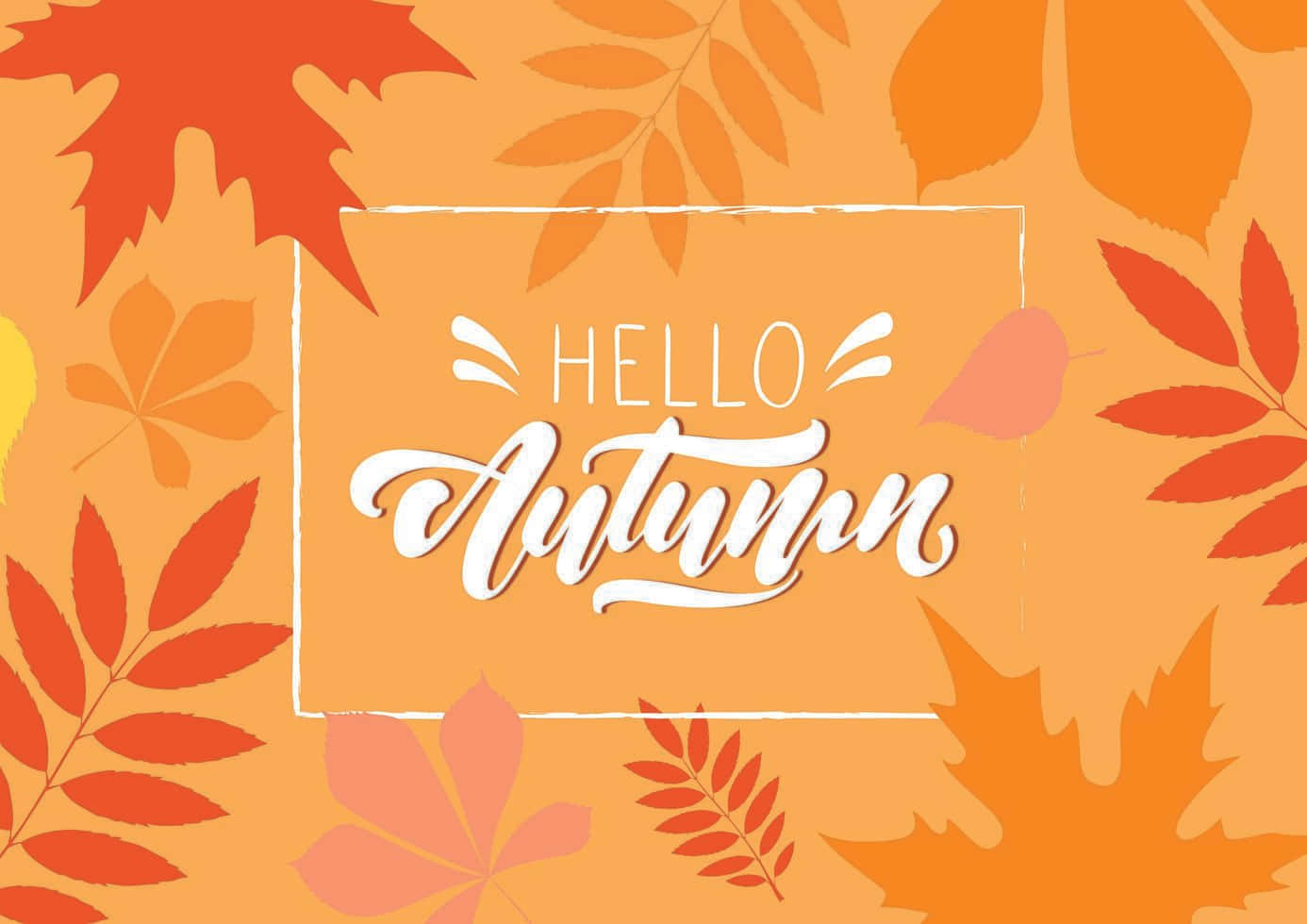 Hello Fall Lettering Autumn Background Background