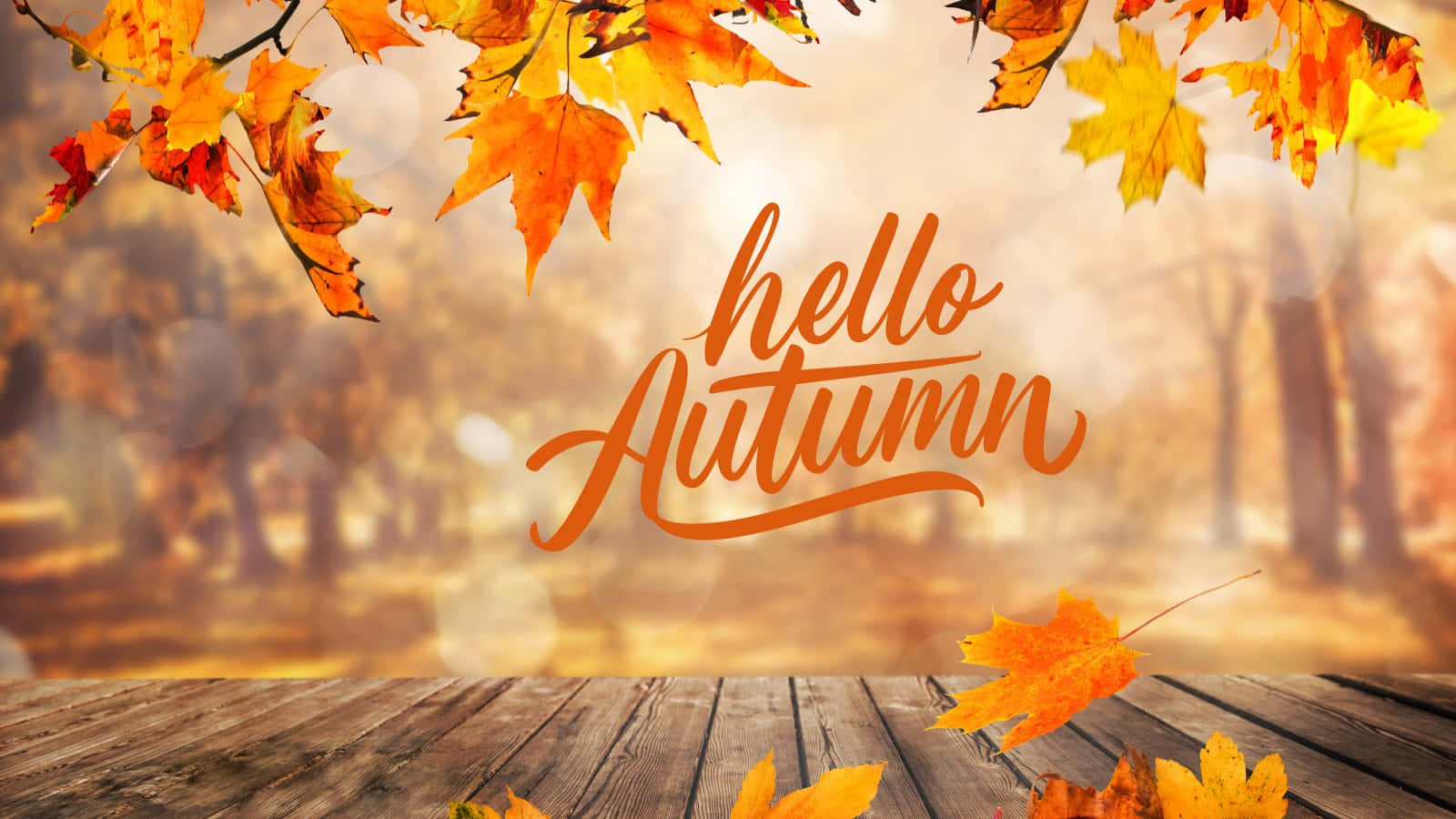 Hello Fall Wooden Background Background