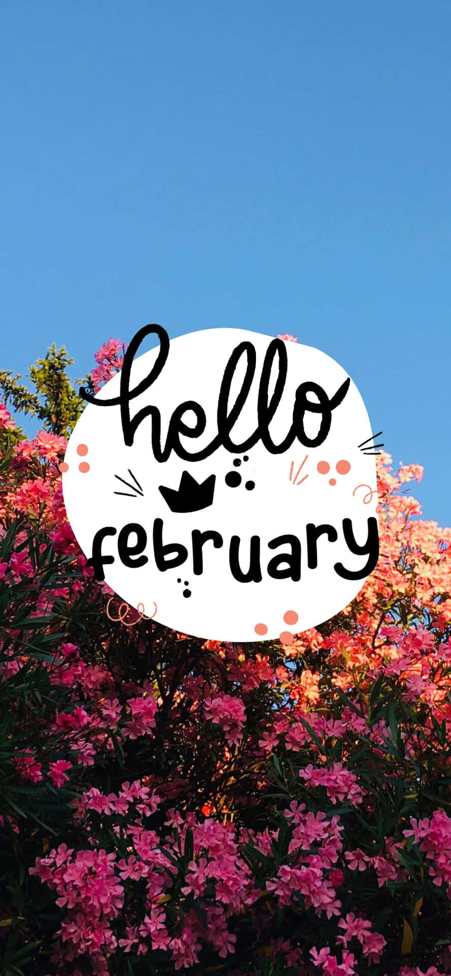 Hello February - A Flowering Tree With The Words Hello February Background