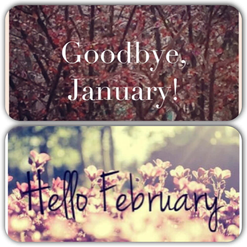 Hello February – A Fresh Start Background