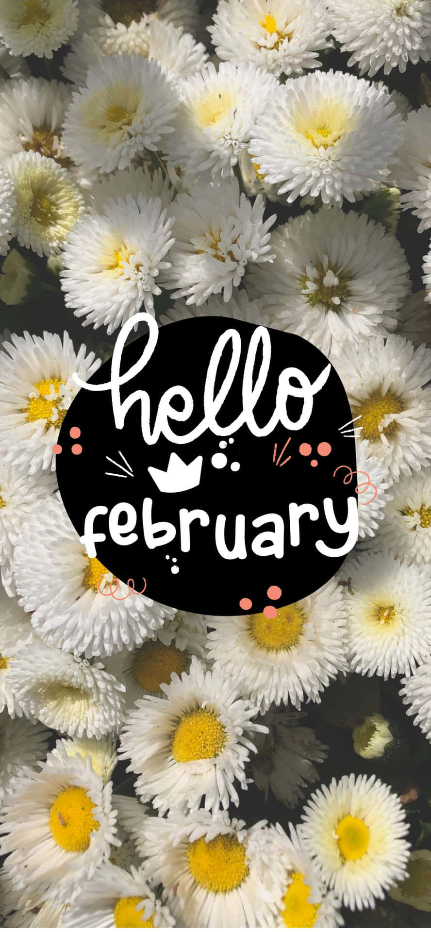 Hello February - Celebrate Spring's Arrival! Background