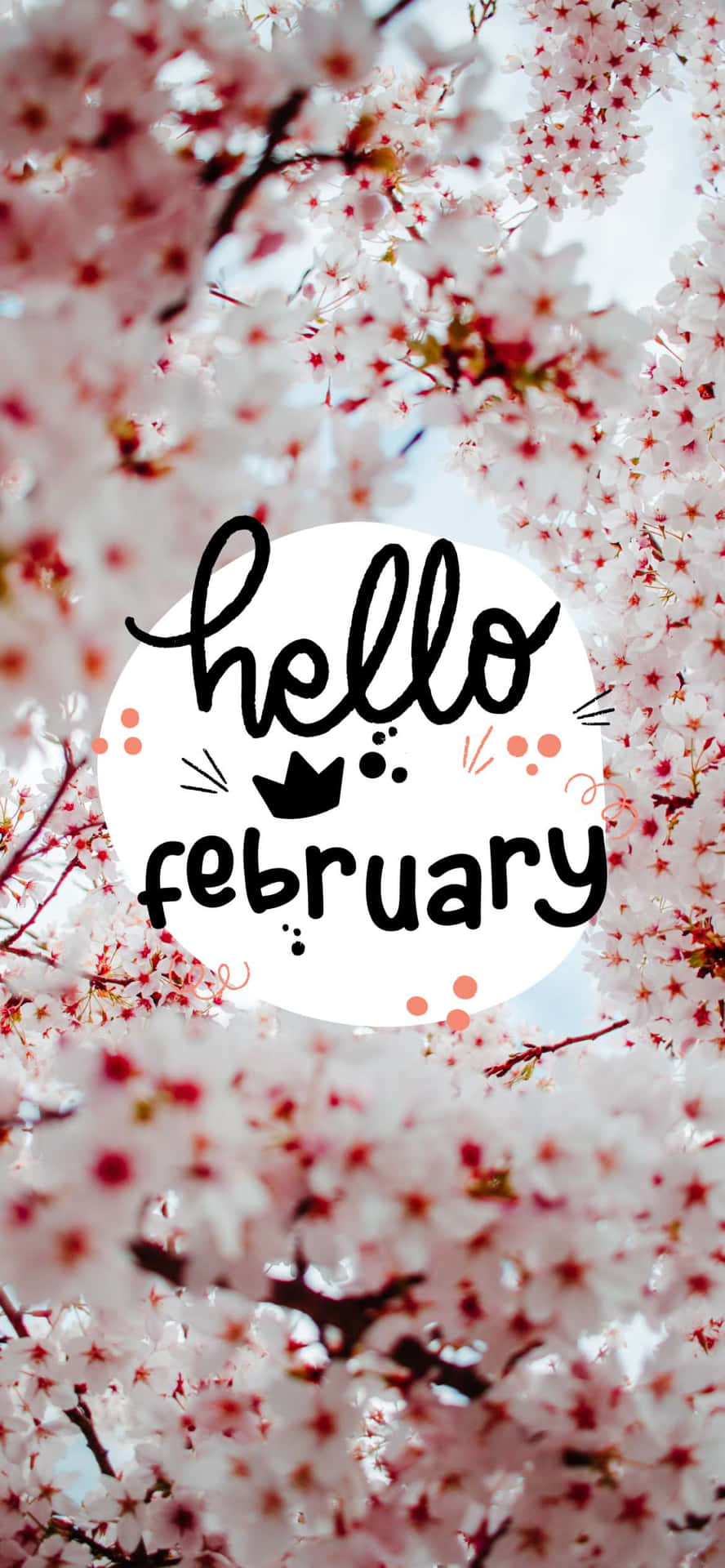 Hello February! Background