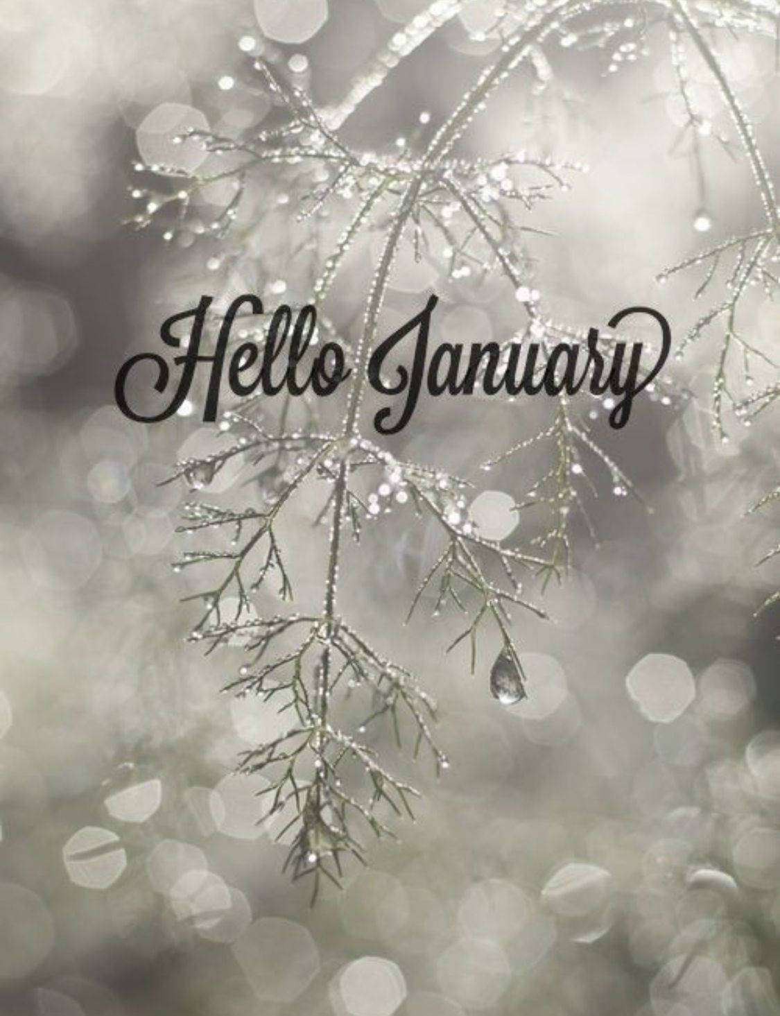 Hello January Bokeh Style