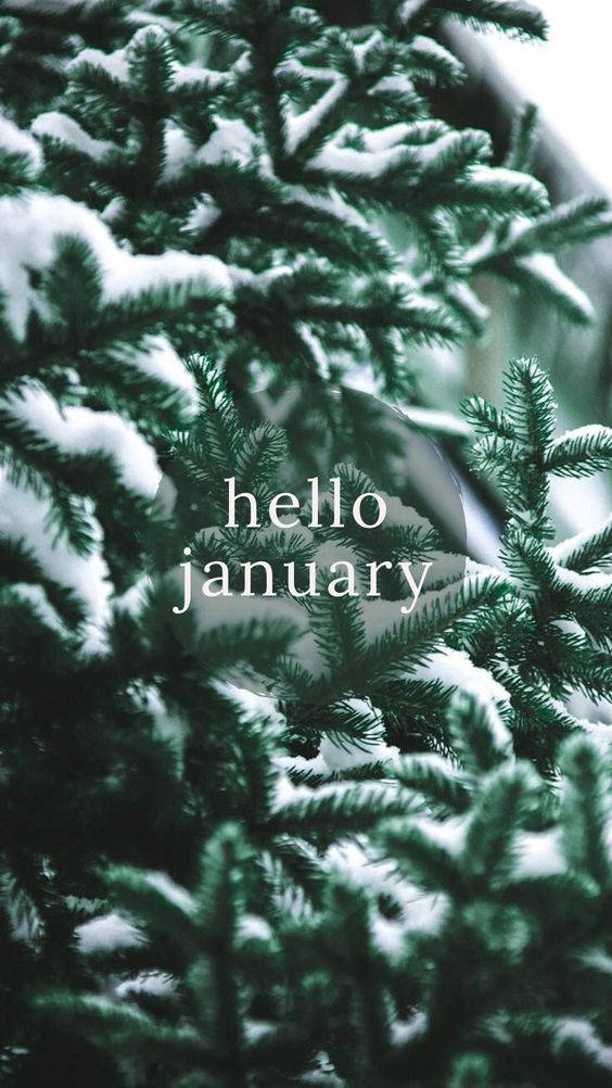 Hello January Snowy Leaves Background