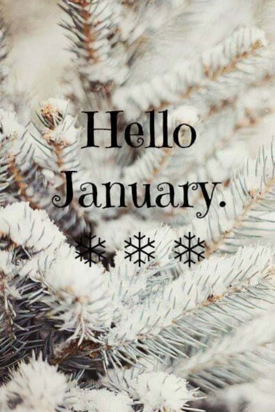Hello January Wallpapers Background