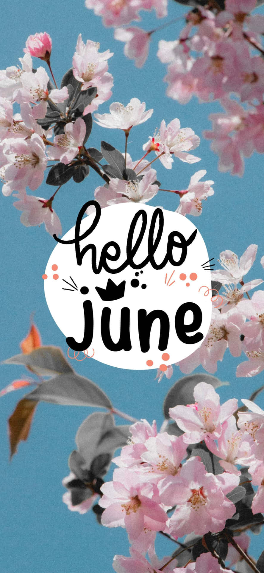 Hello June - A Pink Flower With The Words Hello June Background