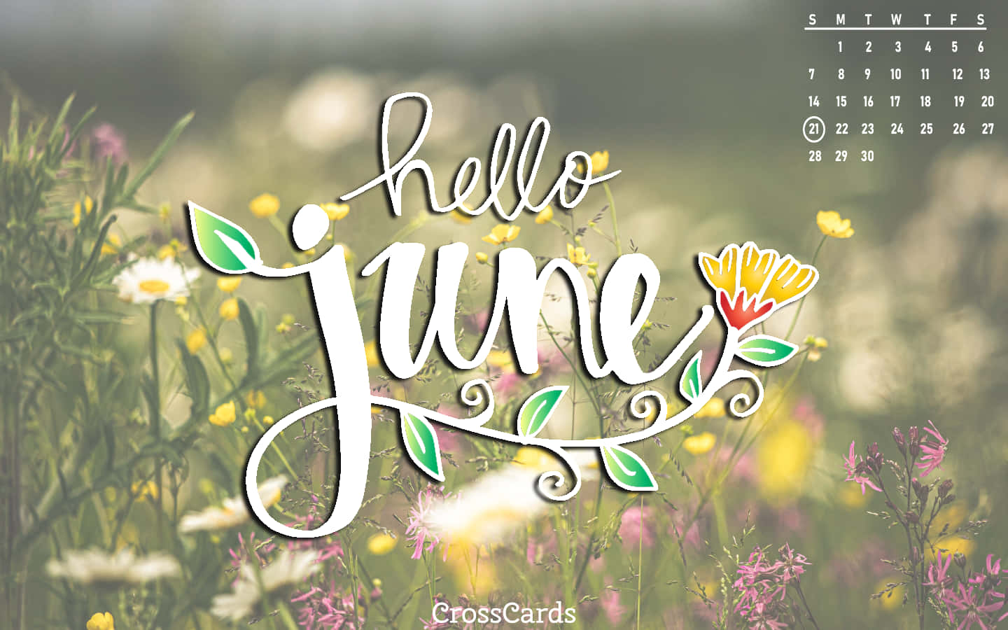 Hello June Calendar Wallpaper Background