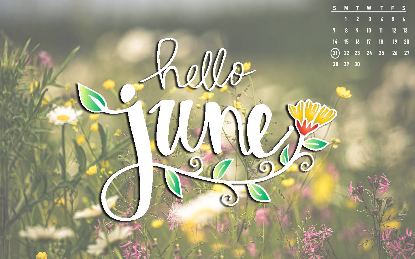 Hello June Calendar Wallpaper