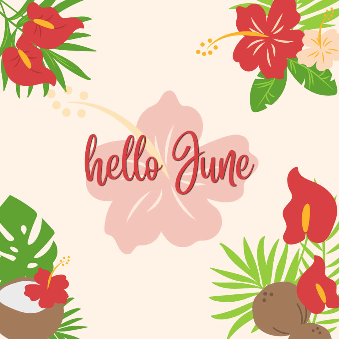 Hello June Greeting Card With Flowers And Coconut Background