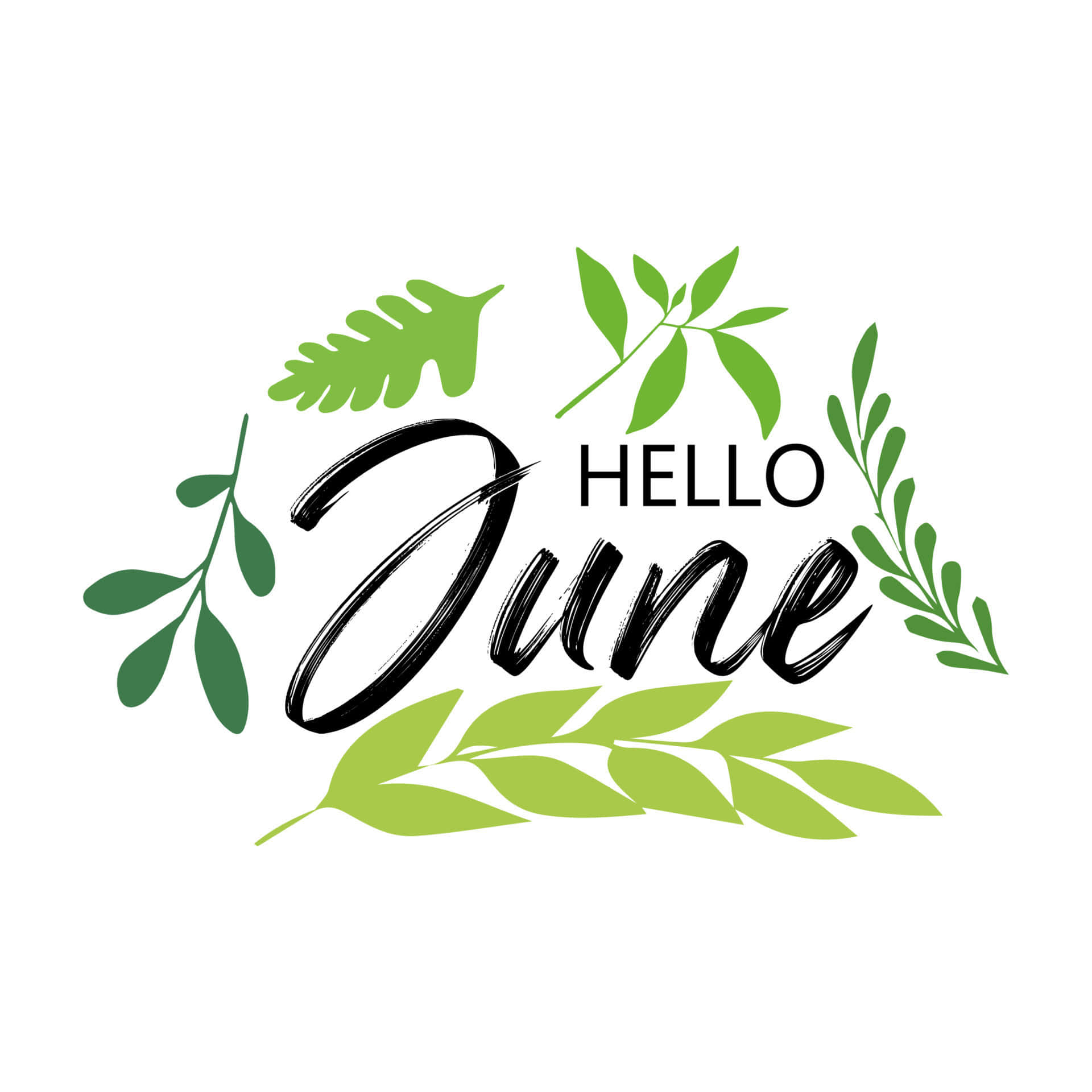 Hello June Logo With Leaves And Leaves Background