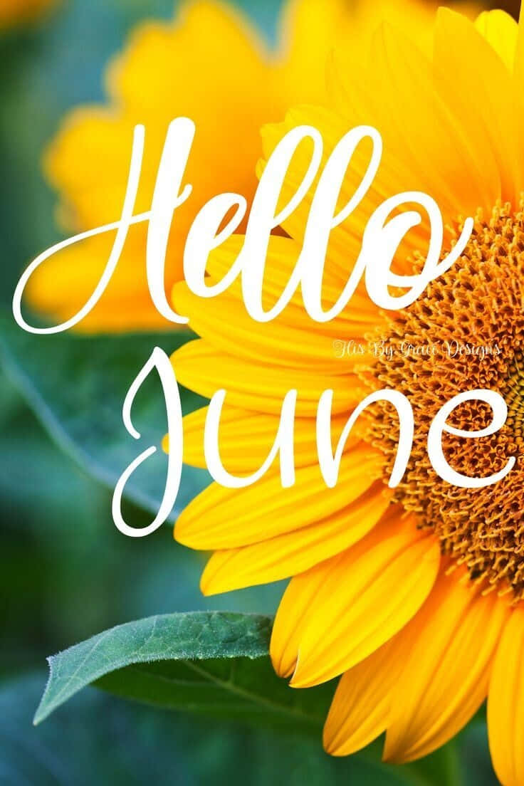 Hello June! New Month, New Beginnings. Of Beautiful Summer Sunshine And Warm Blue Skies. Background