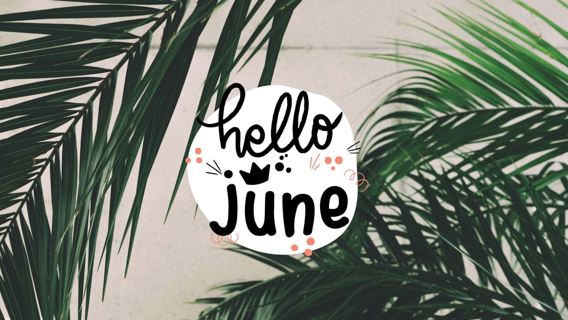 Hello June On A Background Of Palm Leaves Background