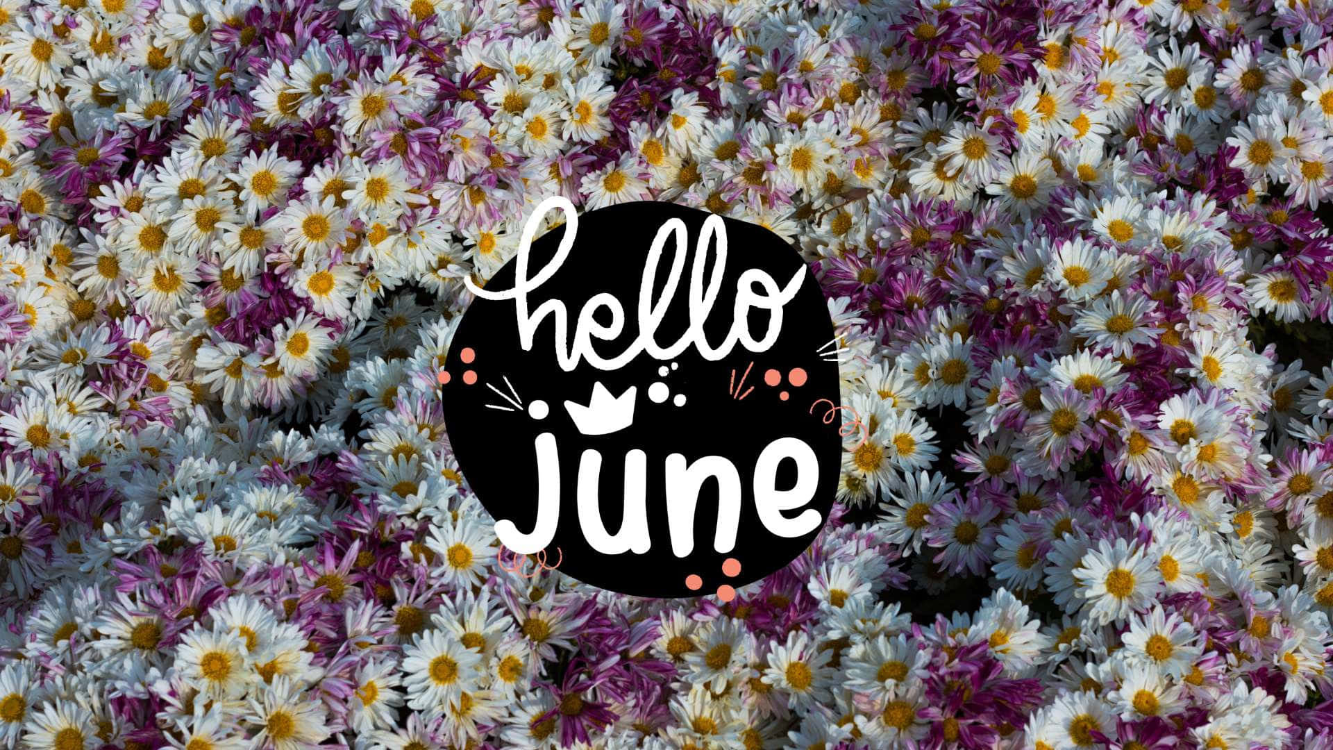 Hello June On A Field Of White And Purple Flowers Background