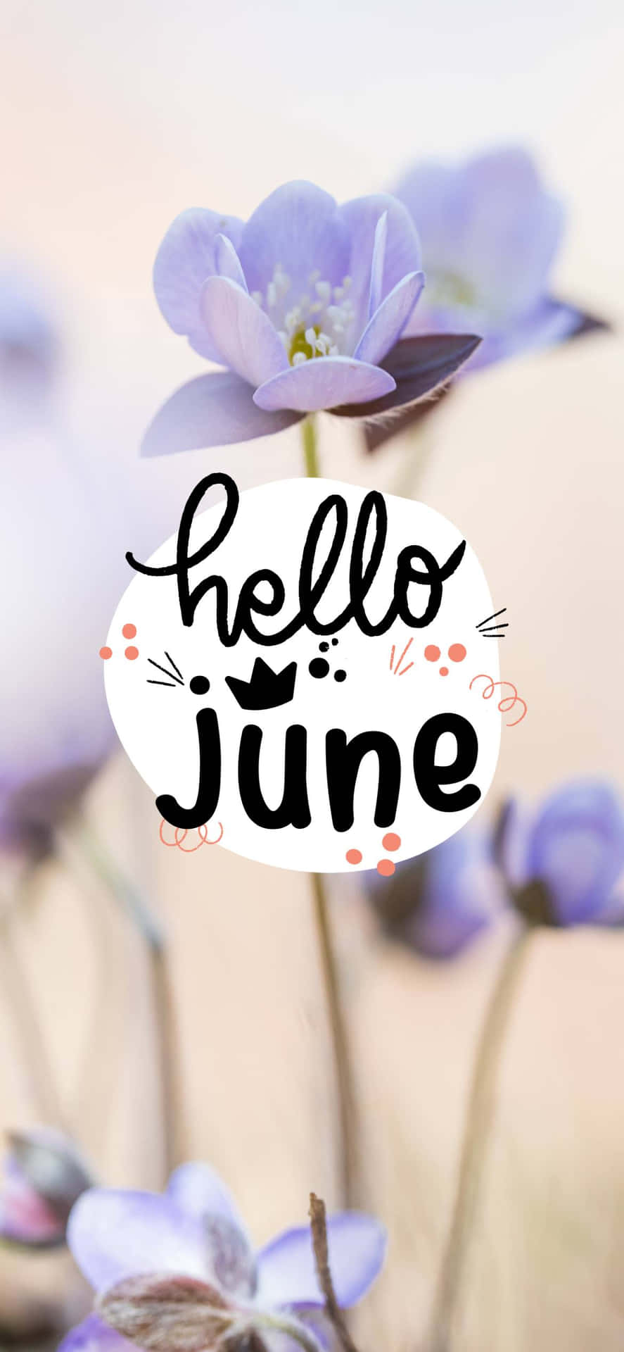 Hello June Wallpapers Background