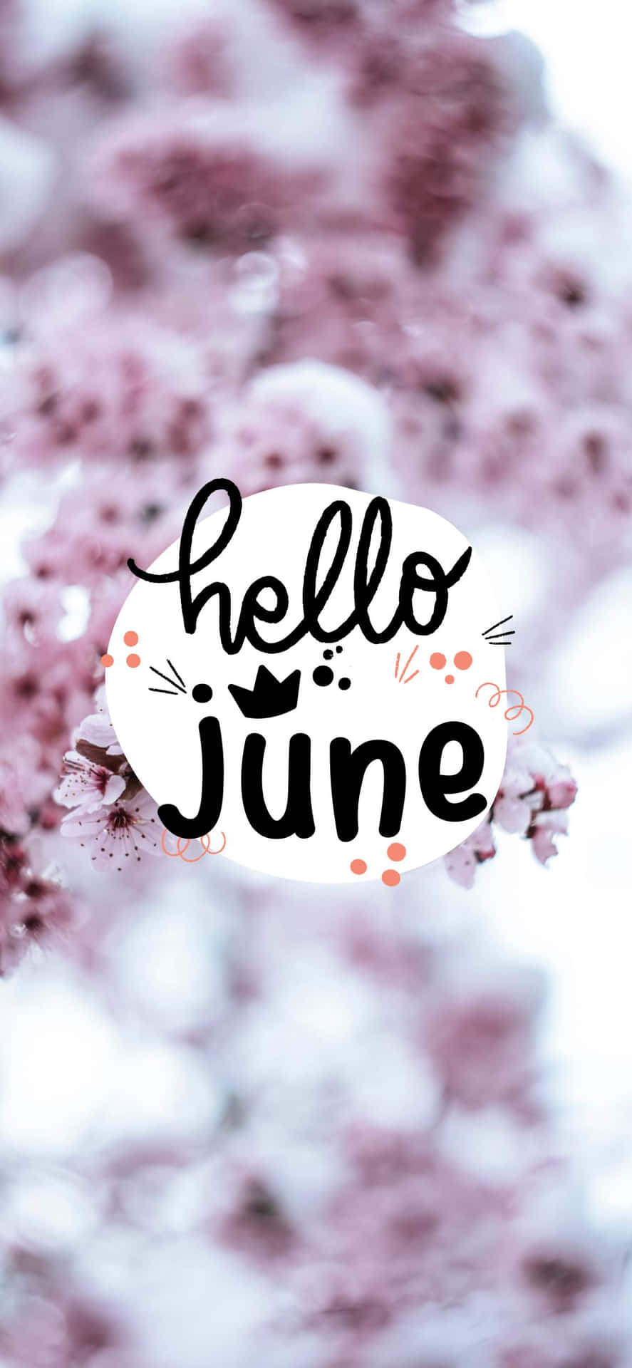 Hello June Wallpapers Background