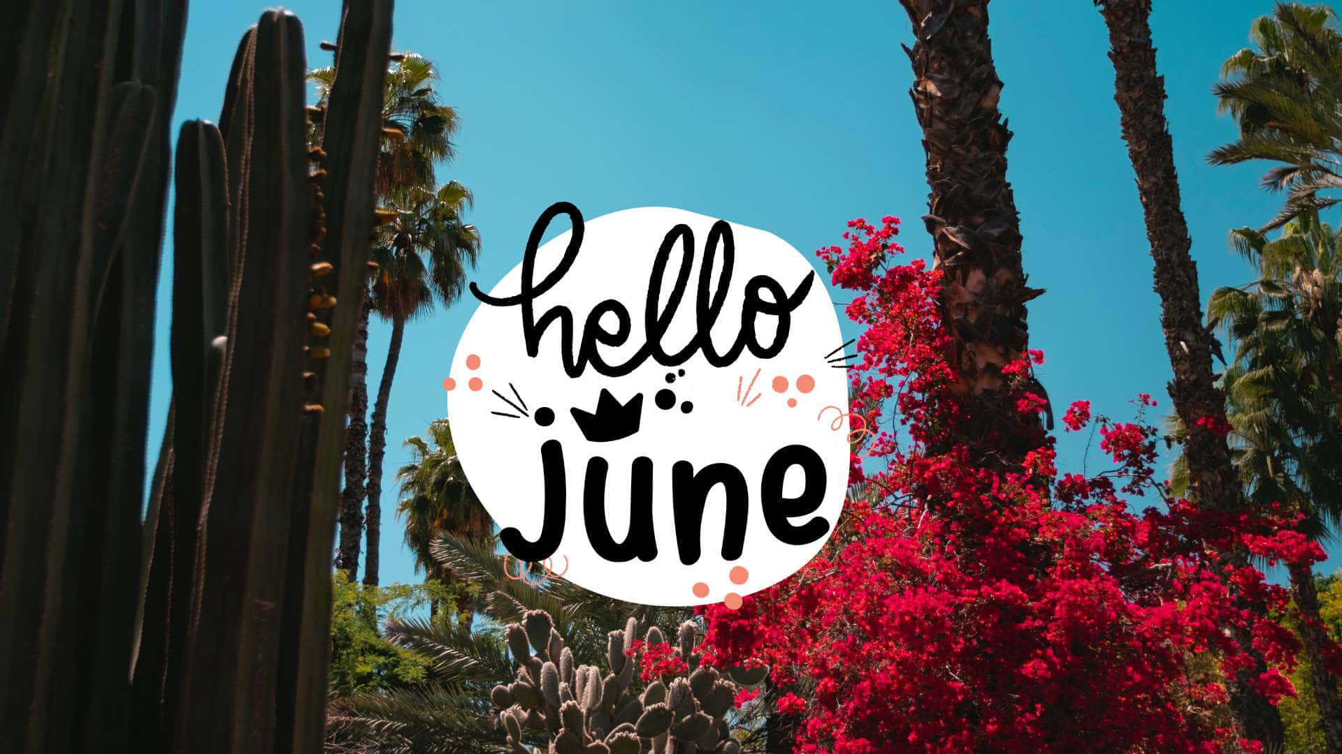 Hello June With Cactus And Trees Background