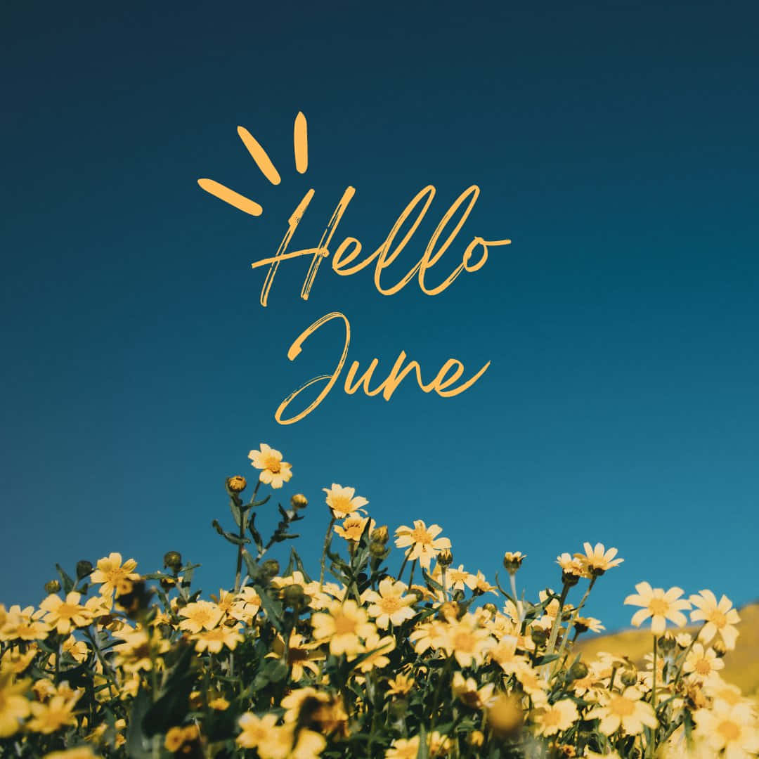 Hello June With Yellow Flowers In The Background Background