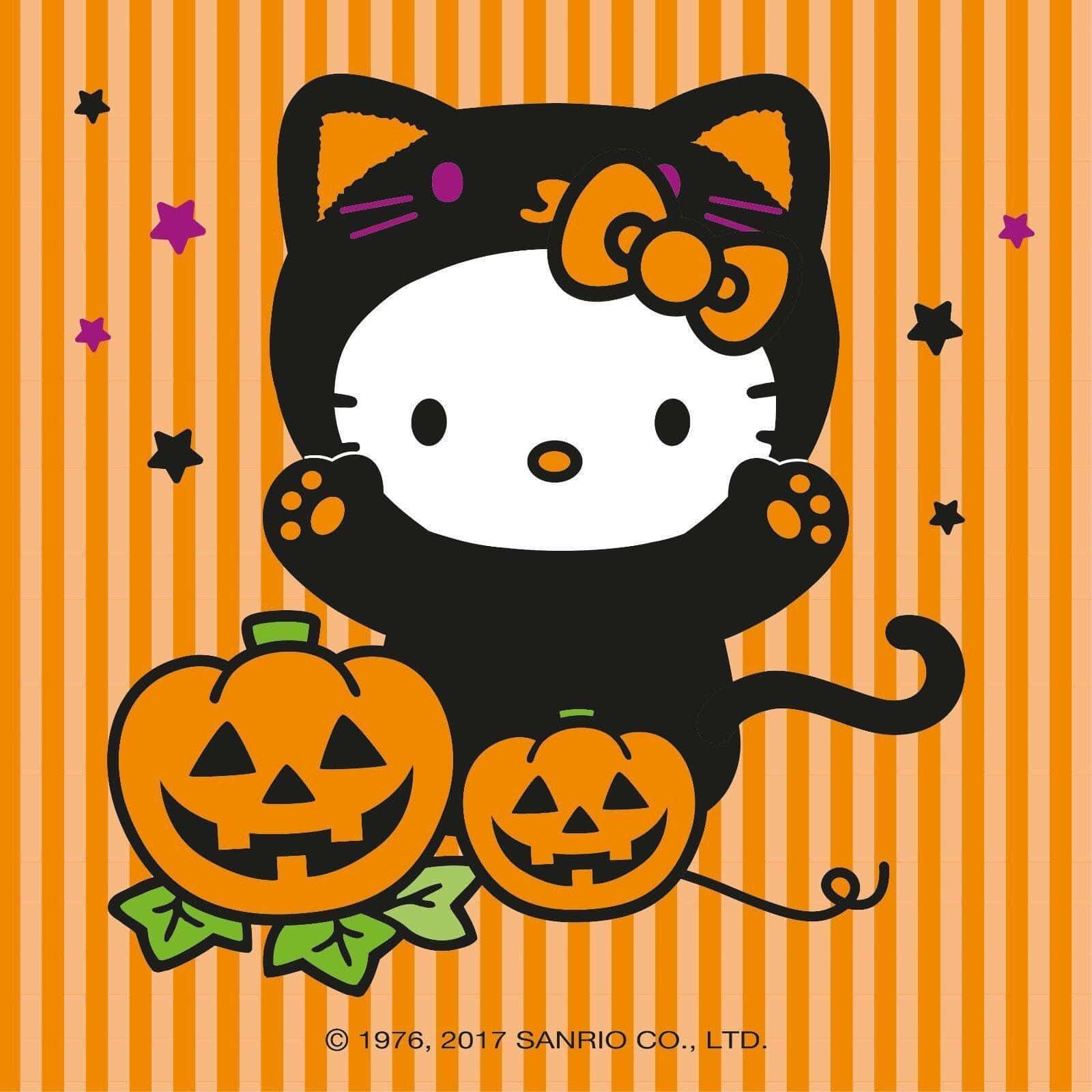 Hello Kitty Orange Halloween Sanrio Pfp