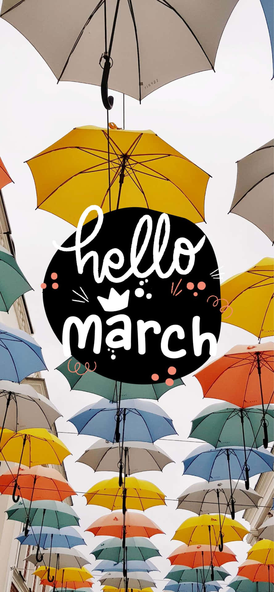 Hello March Hoca Tahsin Street