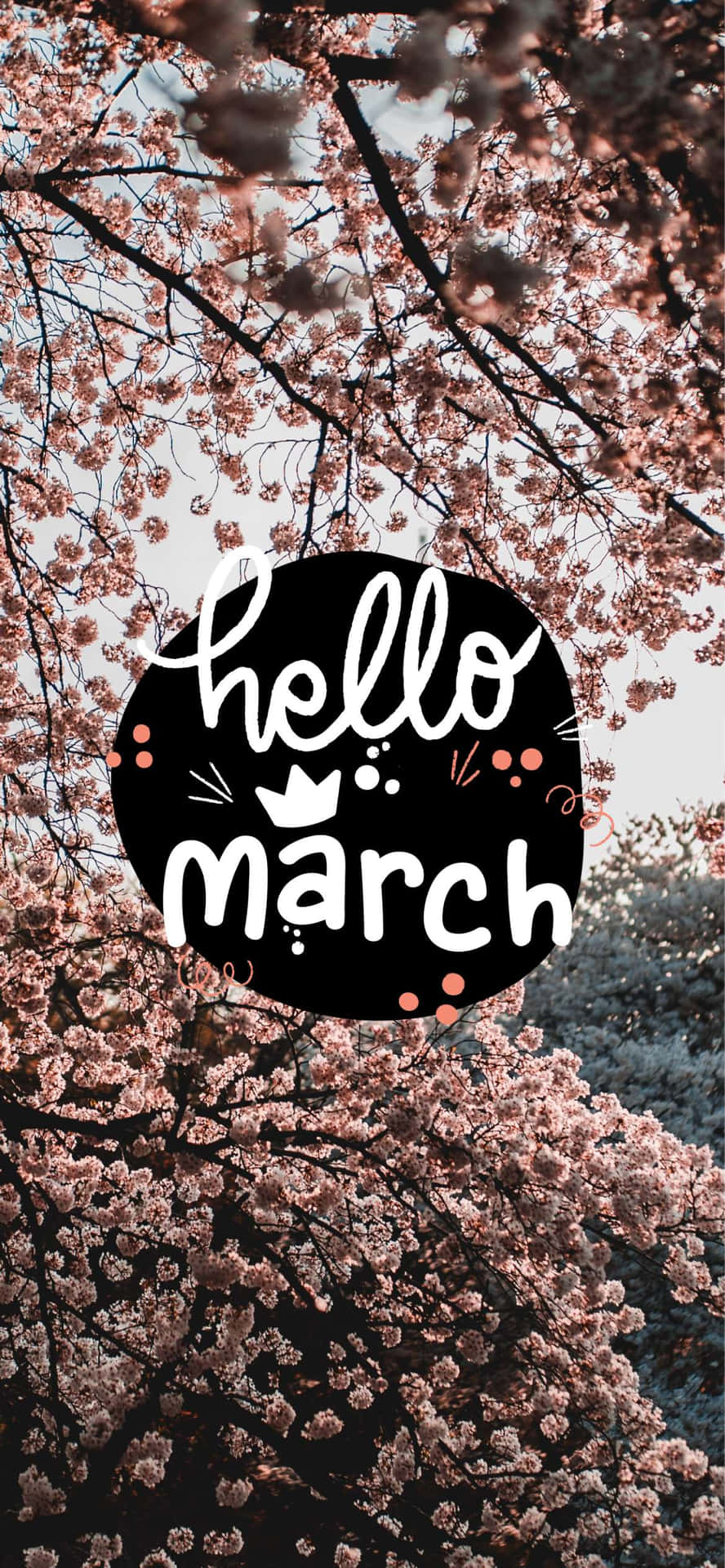 Hello March!