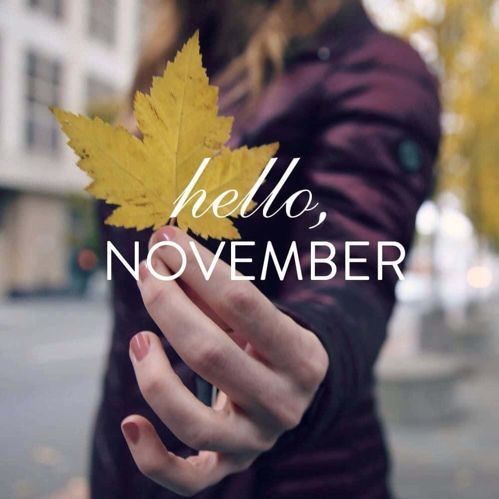 Hello November Background