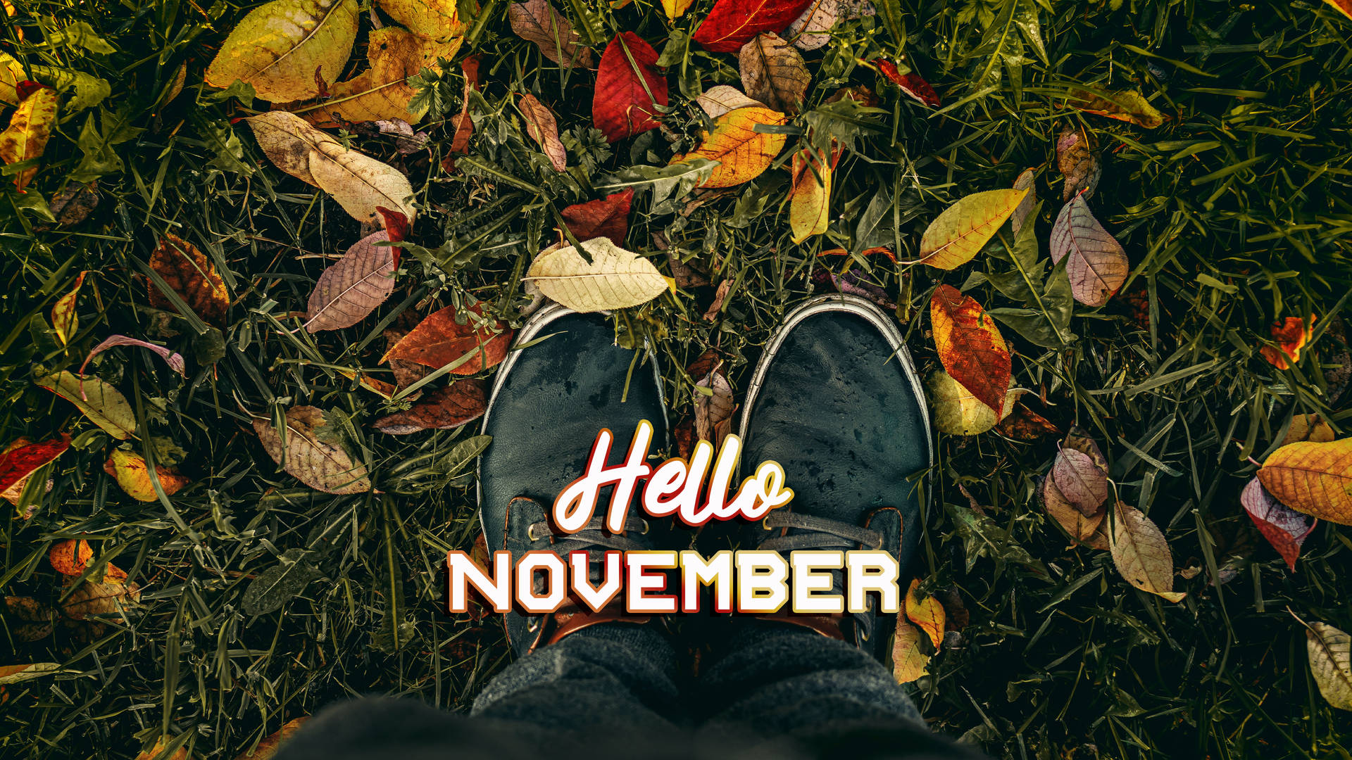 Hello November Shoes On Grass Background