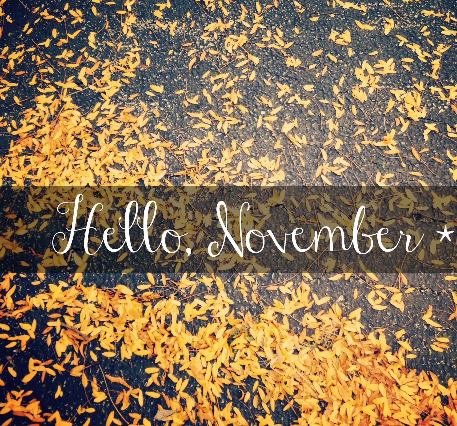 Hello November With Yellow Leaves Background