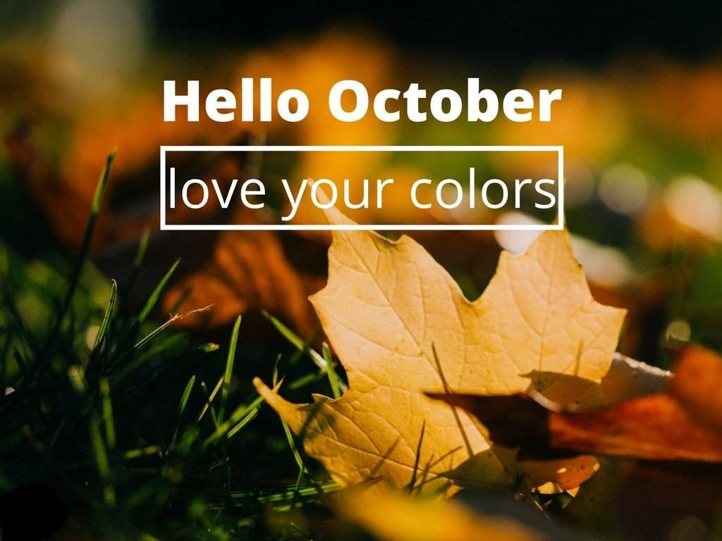 Hello October Love Your Colors Photo Background