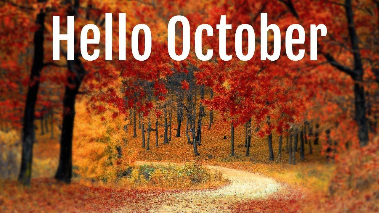 Hello October Orange Trees Dirt Pathway Background