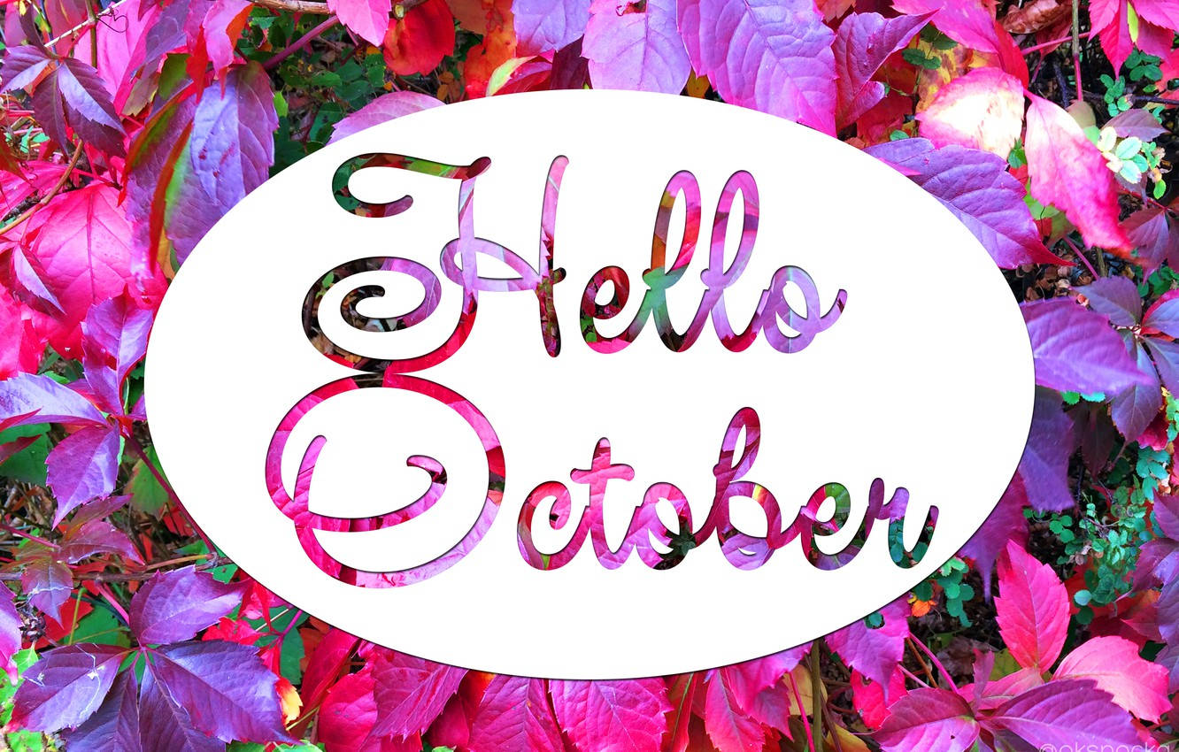 Hello October Pink And Purple Flowers Background