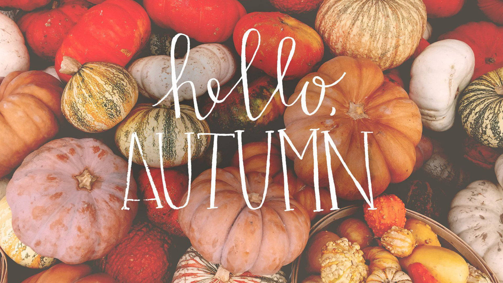 Hello October Pumpkin Pile Background