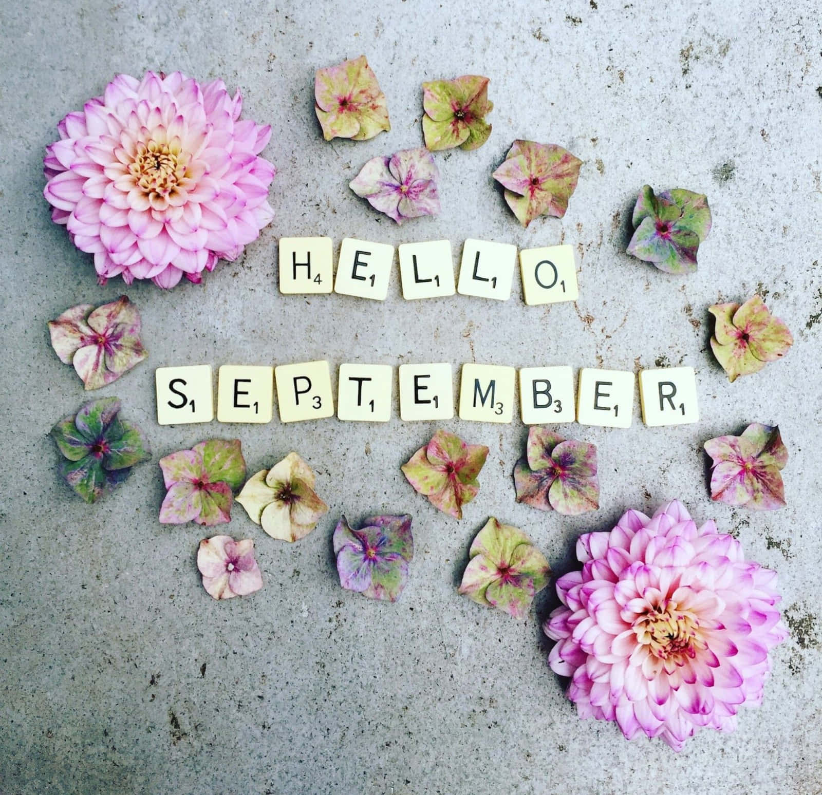 Hello September Alphabet With Flowers Background