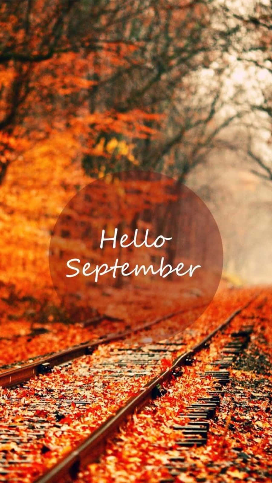 Hello September Greeting In Transparent Circle Background