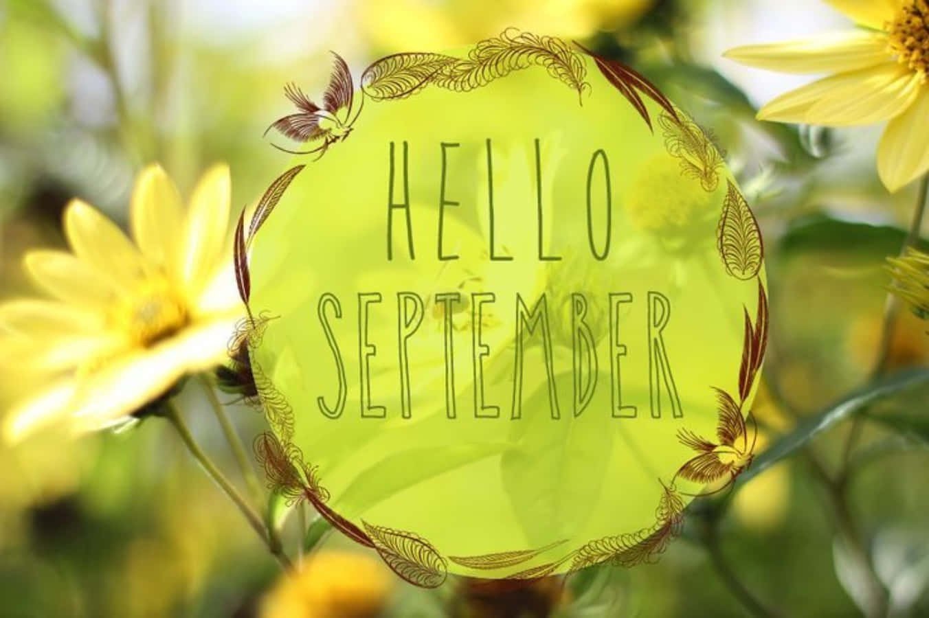 Hello September Greeting In Transparent Round Shape Background